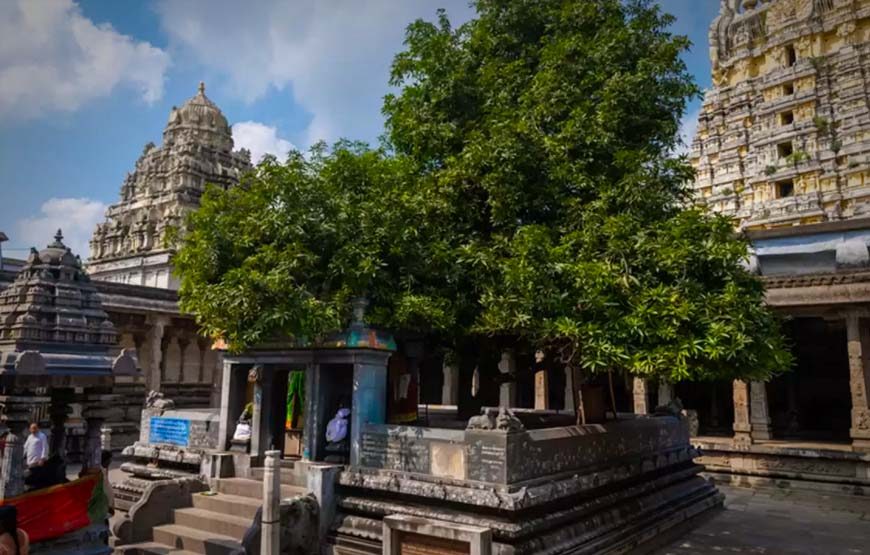 The Majestic Temples of Tamil Nadu