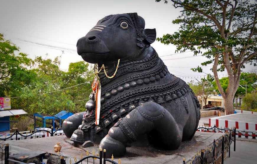 The Sacred Treasures of Karnataka and Tamil Nadu